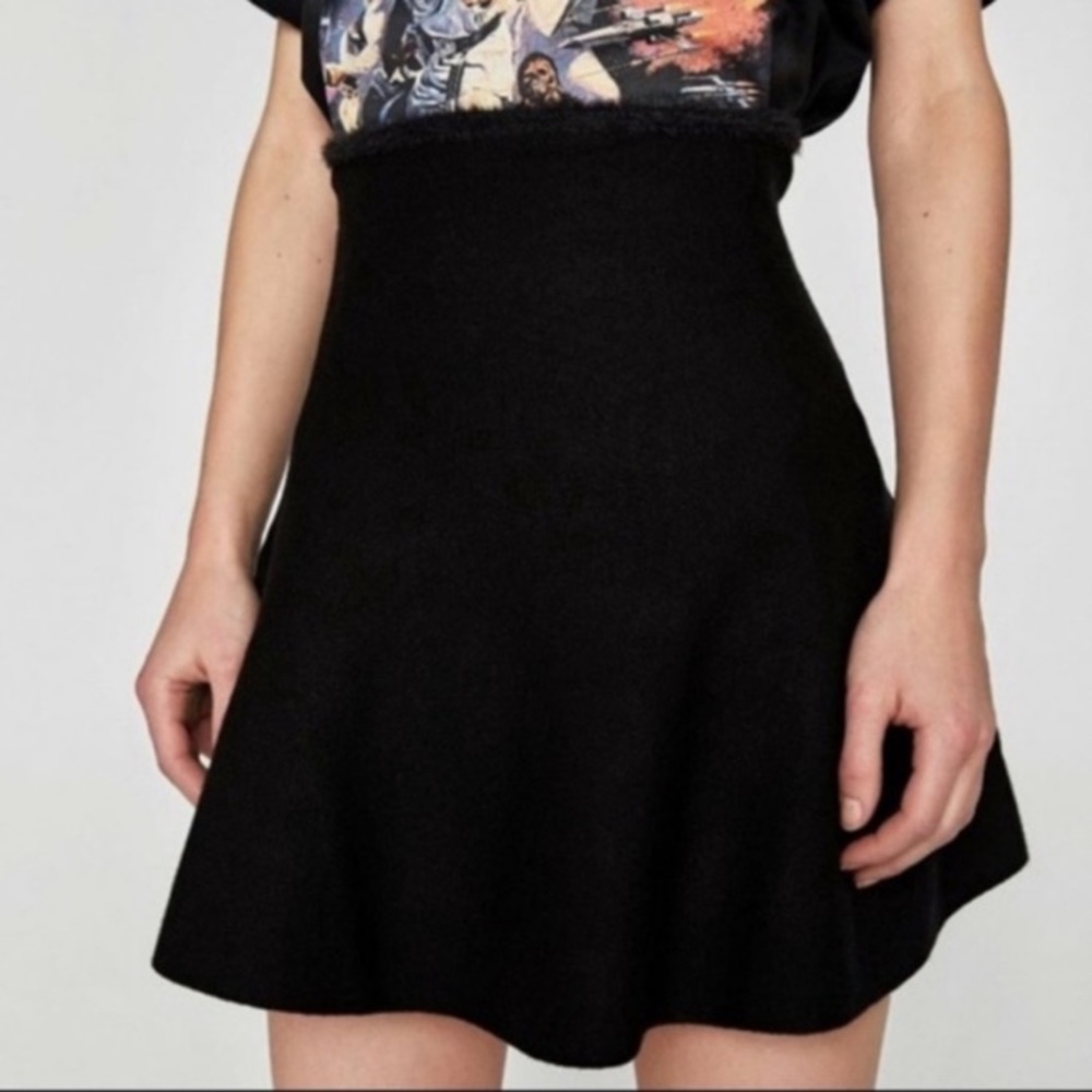 Zara Knit Collection Skater Skirt